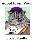 Adopt from your local shelter...