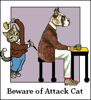 Beware of attack cat