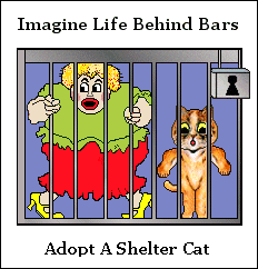 Imagine life behind bars...