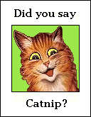 Cat: Did you Say Catnip?