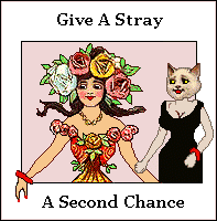 Give a stray a second chance