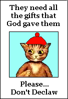Cats need all the gifts that God gave them...