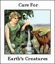 Care For Earth's Creatures