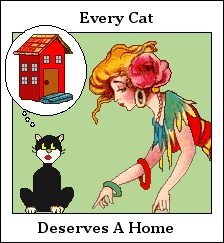 Every cat deserves a home