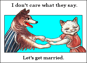 Dog-Cat: Let's get married