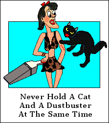 Never hold a cat and a dustbuster at the same time