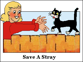 save a stray