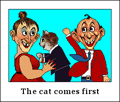 The cat comes first
