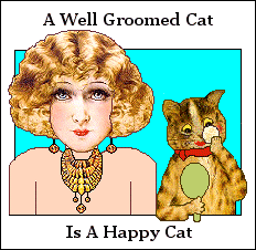 A well groomed cat