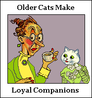 Older Cats Make Loyal Companions