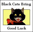 Black Cats Bring Good Luck sign