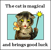 The Cat is Magical and...