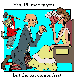 I'll marry you but the cat comes first