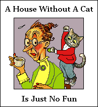 House Without a Cat is no fun