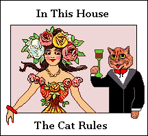 In this house the cat rules