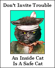 An Inside Cat Is A Safe Cat