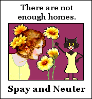 There are not enough homes.Spay and Neuter
