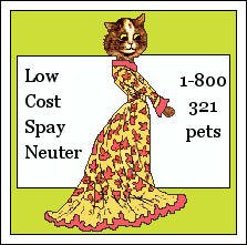 Low Cost Spay/Neuter