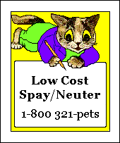 Low Cost Spay/Neuter