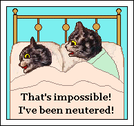 Cats in bed