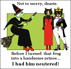 witch turns cat into neutered prince