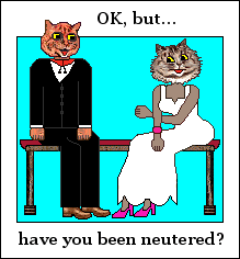 Cat asks another cat: Have you been neutered?