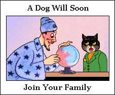 A dog will soon...
