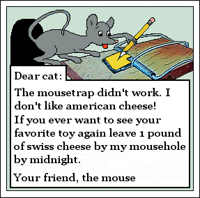 Dear Cat...
