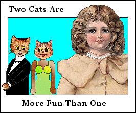 Two Cats Are More Fun Than One