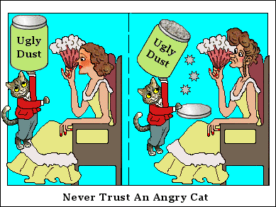 Never trust an angry cat