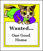 Wanted: One Good Home