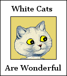 White cats are wonderful sign