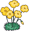 animated flower