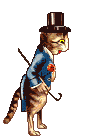 Tophat the cat
