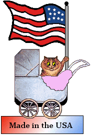 Kitten and American flag: Made in the USA