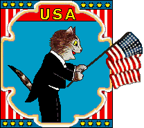 Cat holds American Flag