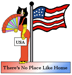 Cat - American Flag and USA sign