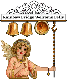 Angel rings Rainbow Bridge Bells
