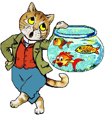 cat - fish bowl