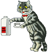 cat - milk