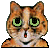 animated cat icon