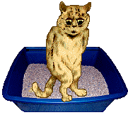 cat - litter box