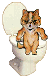 Animated cat on toilet