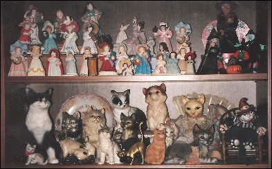 collection of witches, cats