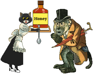cat gives honey to ape