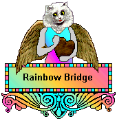 Rainbow Bridge Blinkie