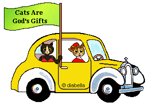 Cats in car. Cat's are God's Gifts