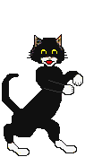 Cat: Blackie