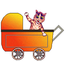 Kitten - carriage