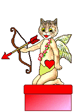 CupidCat